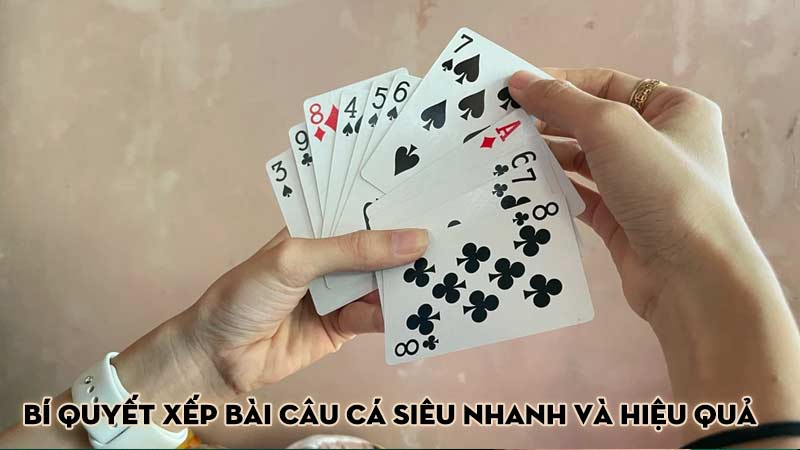 Bí quyết xếp bài câu cá siêu nhanh và hiệu quả