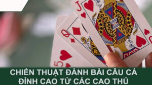 Chiến thuật đánh bài câu cá đỉnh cao từ các cao thủ