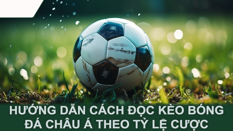 Hướng dẫn cách đọc kèo bóng đá châu Á theo tỷ lệ cược