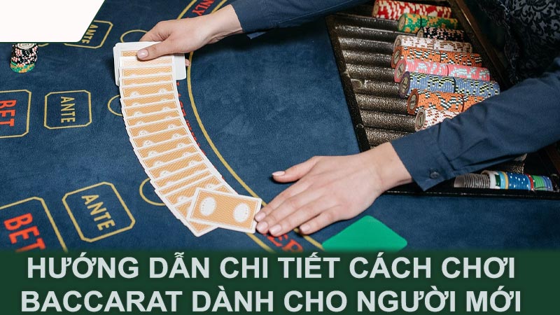 Hướng dẫn chi tiết cách chơi baccarat dành cho người mới bắt đầu