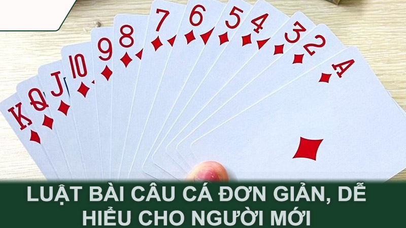 Luật bài câu cá đơn giản, dễ hiểu cho người mới