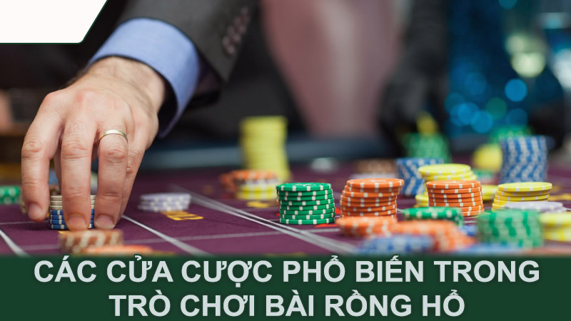 Các cửa cược phổ biến trong trò chơi bài Rồng Hổ