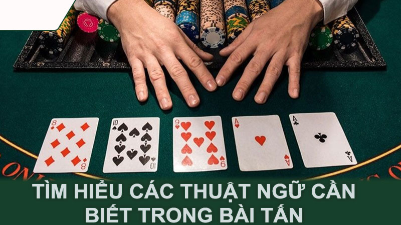 Tìm hiểu các thuật ngữ cần biết trong bài tấn