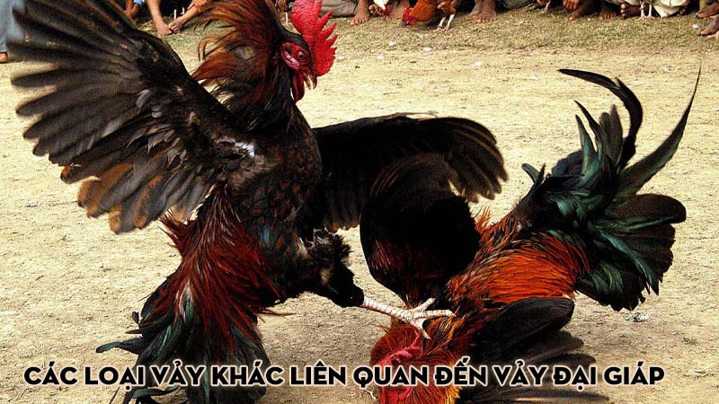 Các loại vảy khác liên quan đến vảy đại giáp