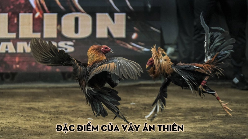 Đặc điểm của vảy án thiên