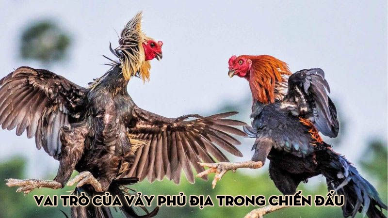 Vai trò của vảy phủ địa trong chiến đấu